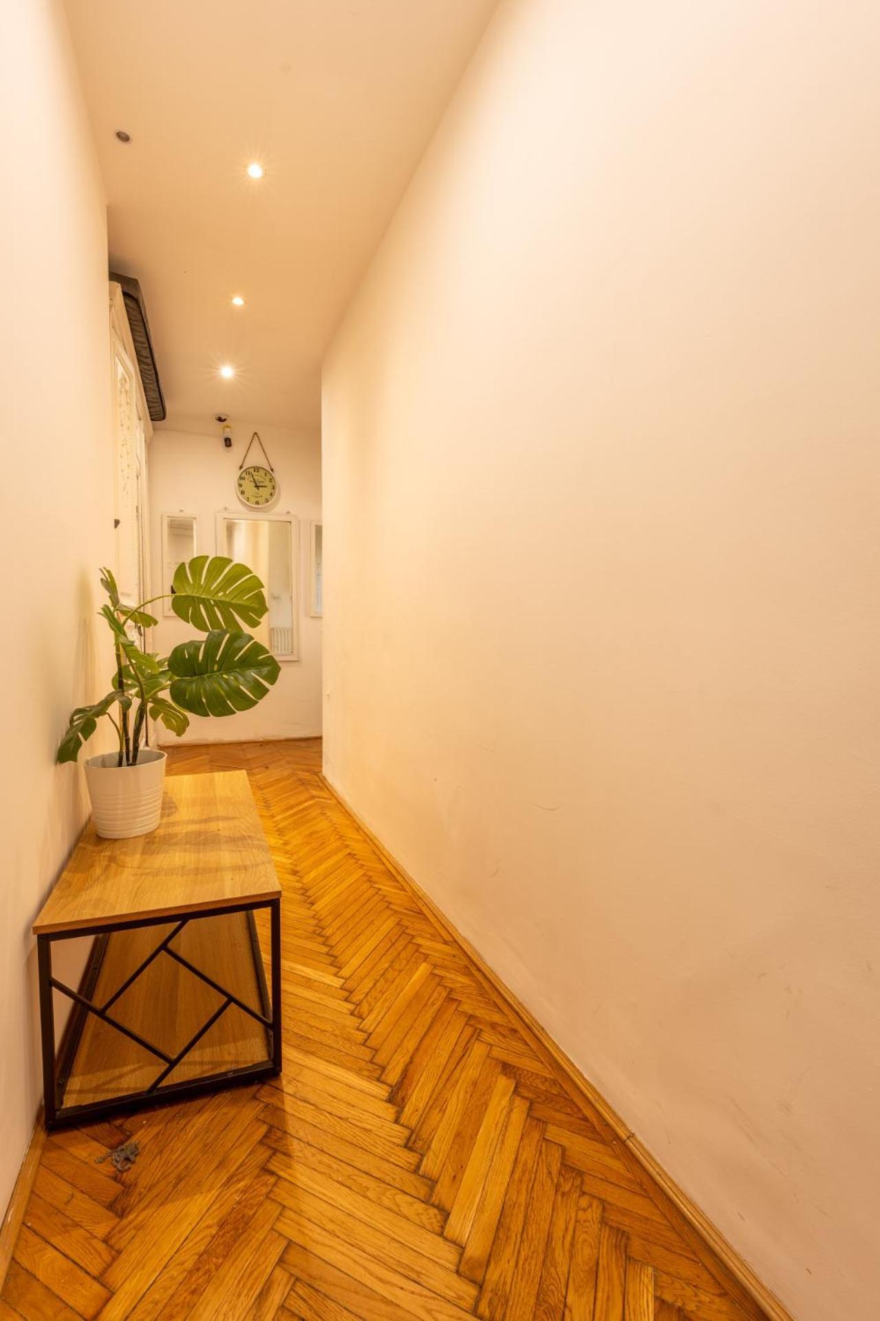 Suite Apartment Hidden Gem Next Synagogue - A 布达佩斯 外观 照片